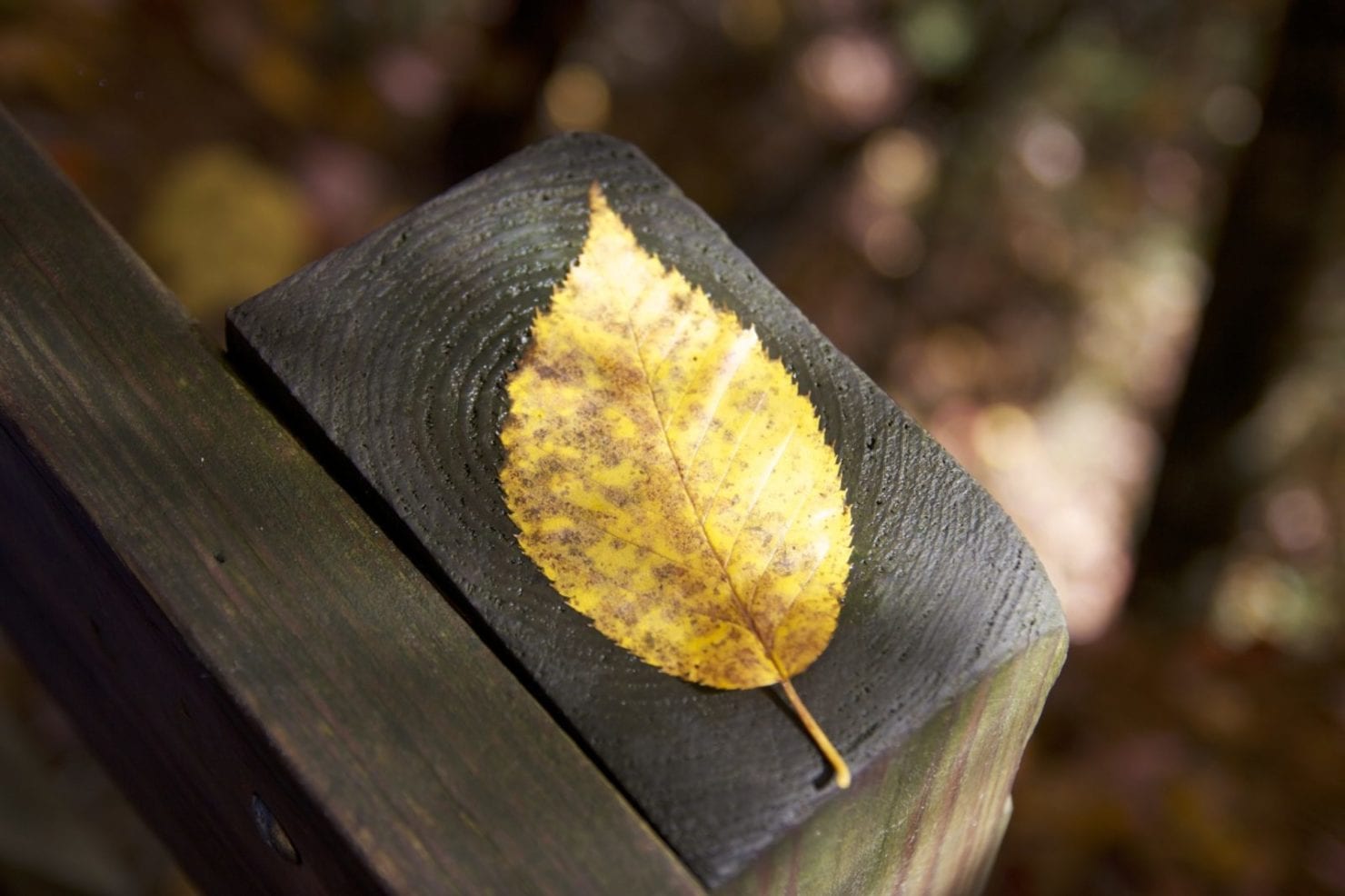 What is autumnryinComfort Marketur feet"r fromw Думаете, это только «плачущее небо под ногами» (с)? Как бы не так!, фото, мебель Comfort Market