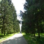 Построен более 200 лет назад супругой крупного землевладельца, которому принадлежала Белая Церковь, бывшей фрейлиной императрицы Александрой Браницкой. Совершенно нескромная дама не только построила парк, но и назвала в свою честь – «Александрия» :), фото, мебель Comfort Market